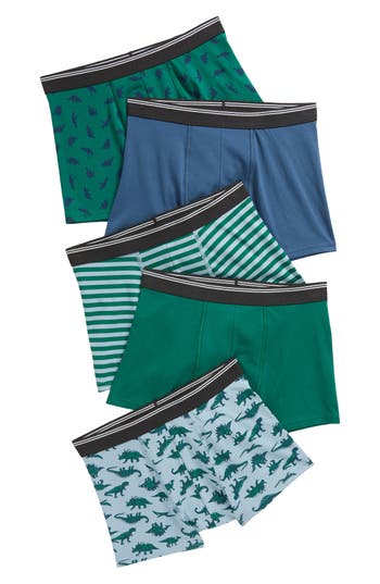 Nordstrom Kids' Assorted 5-pack Boxer Briefs In Sketch Dinosaur Pack