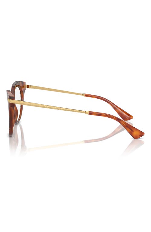 Dolce & Gabbana Eyewear In Havana