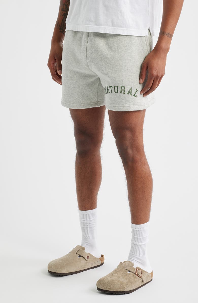 Museum of Peace & Quiet Arch Pigment Dyed Quarter Zip Graphic Sweat Shorts, Alternate, color, Ash