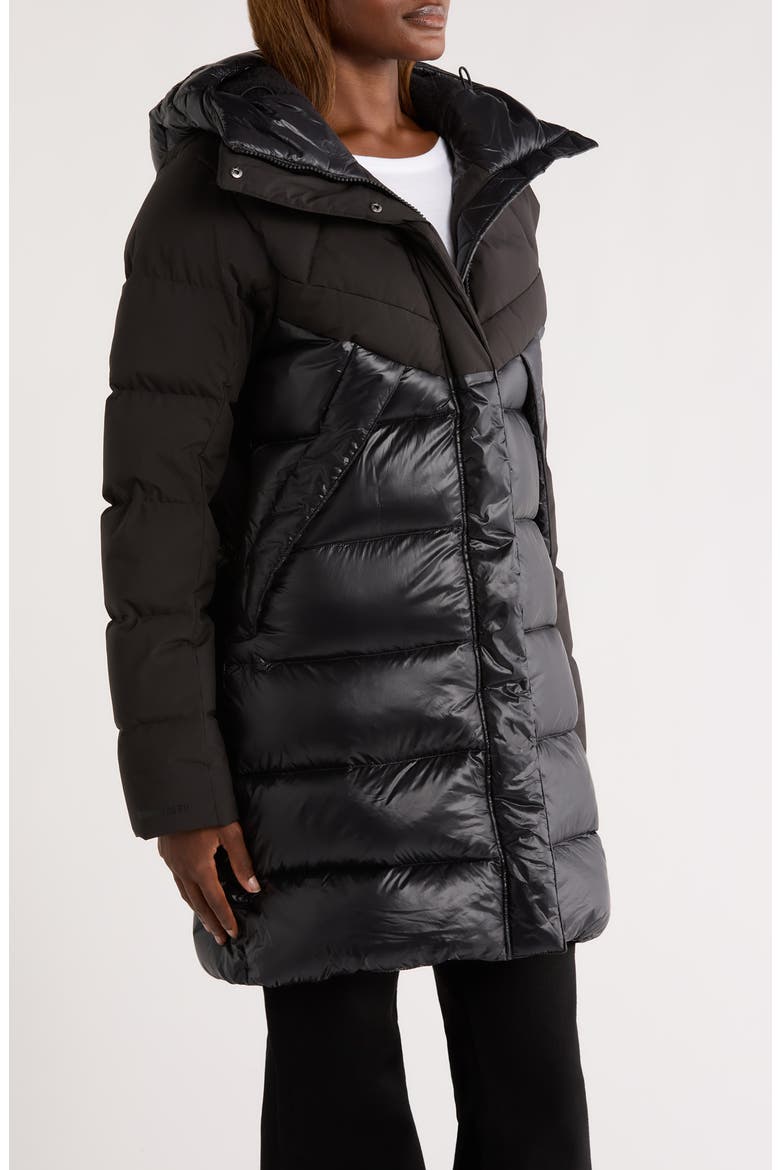 Winter Bliss 600 Fill Power Down Parka, Alternate, color, BLACK