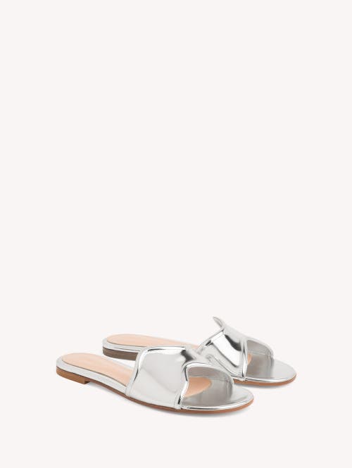 Gianvito Rossi Wavy Metallic Flat Slide Sandals In Silver