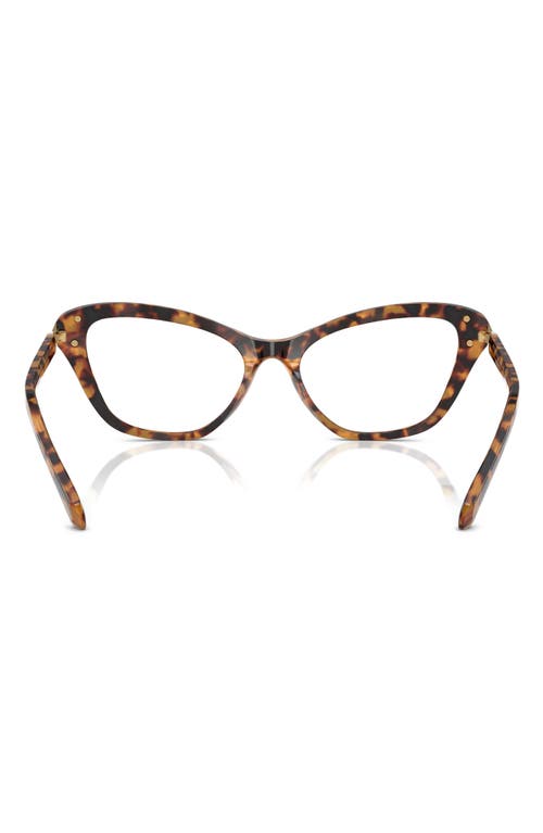 Swarovski 55mm Cat Eye Optical Glasses In Lite Havana