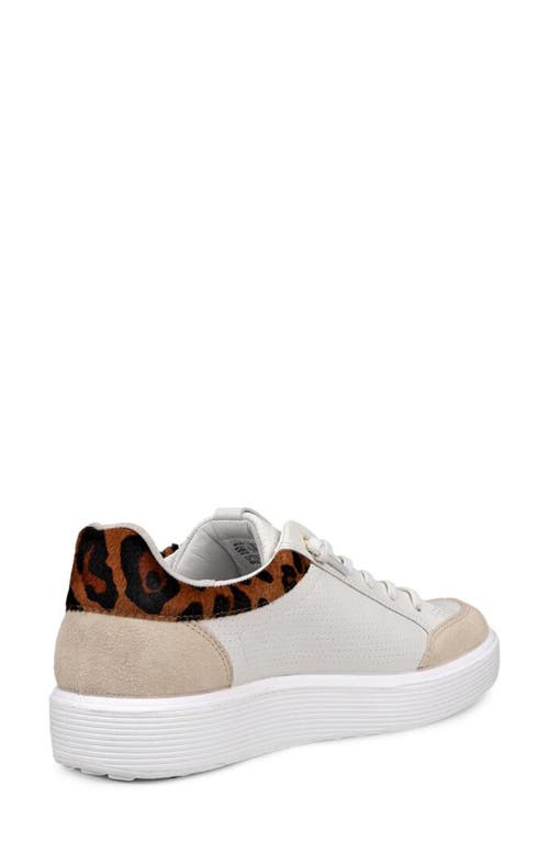 Ecco Soft 60 Sneaker In White