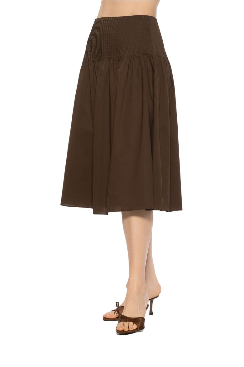 Esme Pintuck Waist Full Poplin Skirt, Alternate, color, Brown