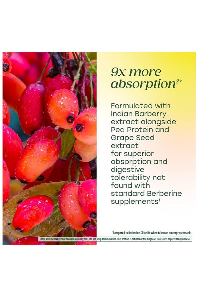 Berberine Phytosome, 550 mg Per Serving, Vegan, 60 Capsules, Alternate, color, None