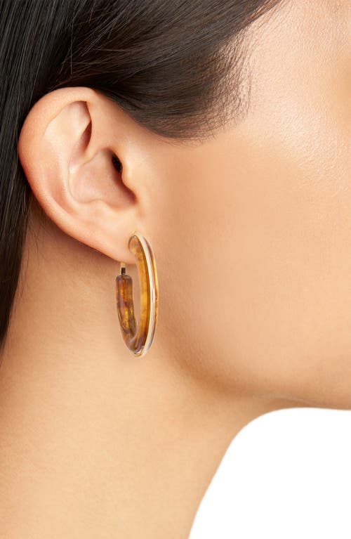 Nordstrom Rack Round Resin Hoop Earrings In Brown- Gold