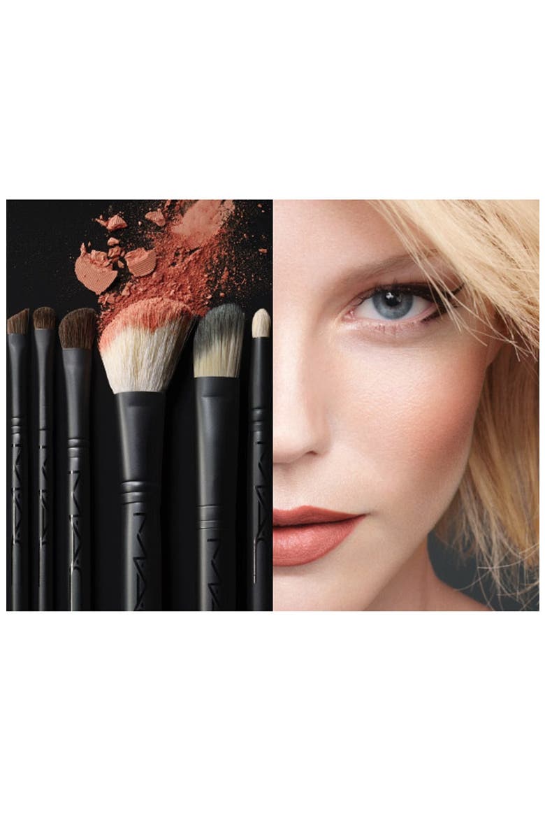 M·A·C 'Look in a Box - Advanced' Travel Brush Kit, Alternate, color, NO COLOR