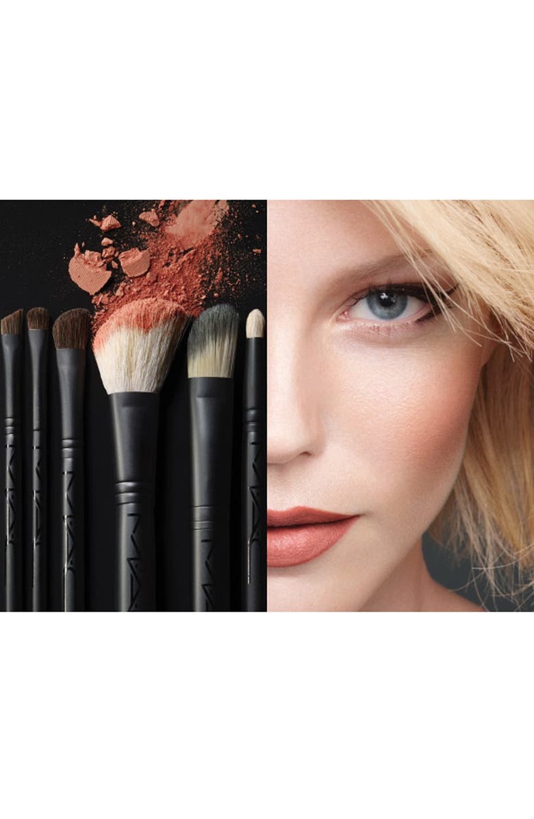 MAC Cosmetics M·A·C 'Look in a Box - Advanced' Travel Brush Kit, Alternate, color,