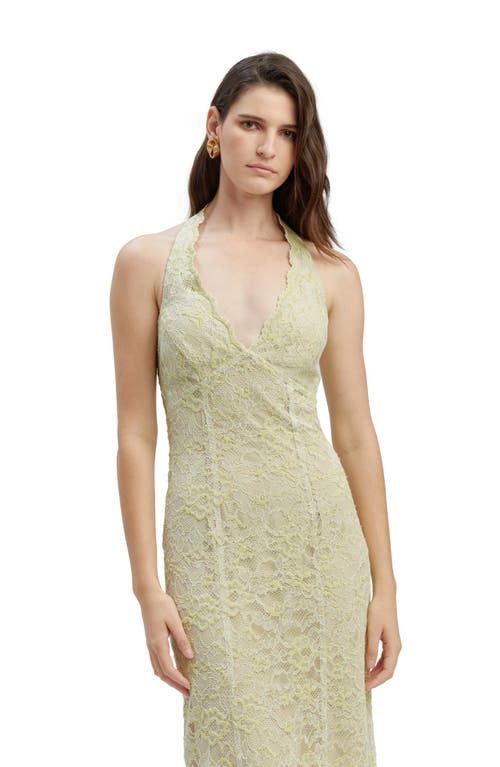 Bardot Evana Lace Midi Dress In Pale Khaki