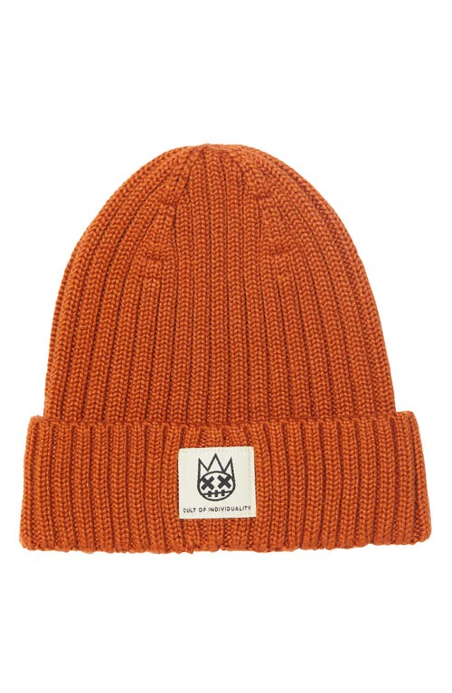 Cult Of Individuality Shimuchan Logo Knit Hat In Vintage Rust In Orange