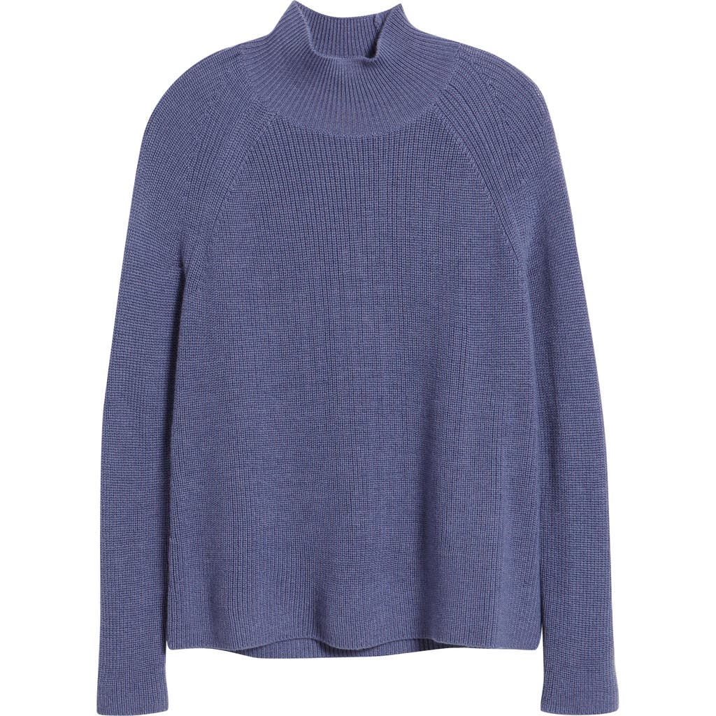 Eileen Fisher Raglan Sleeve Merino Wool Turtleneck Sweater In Blue