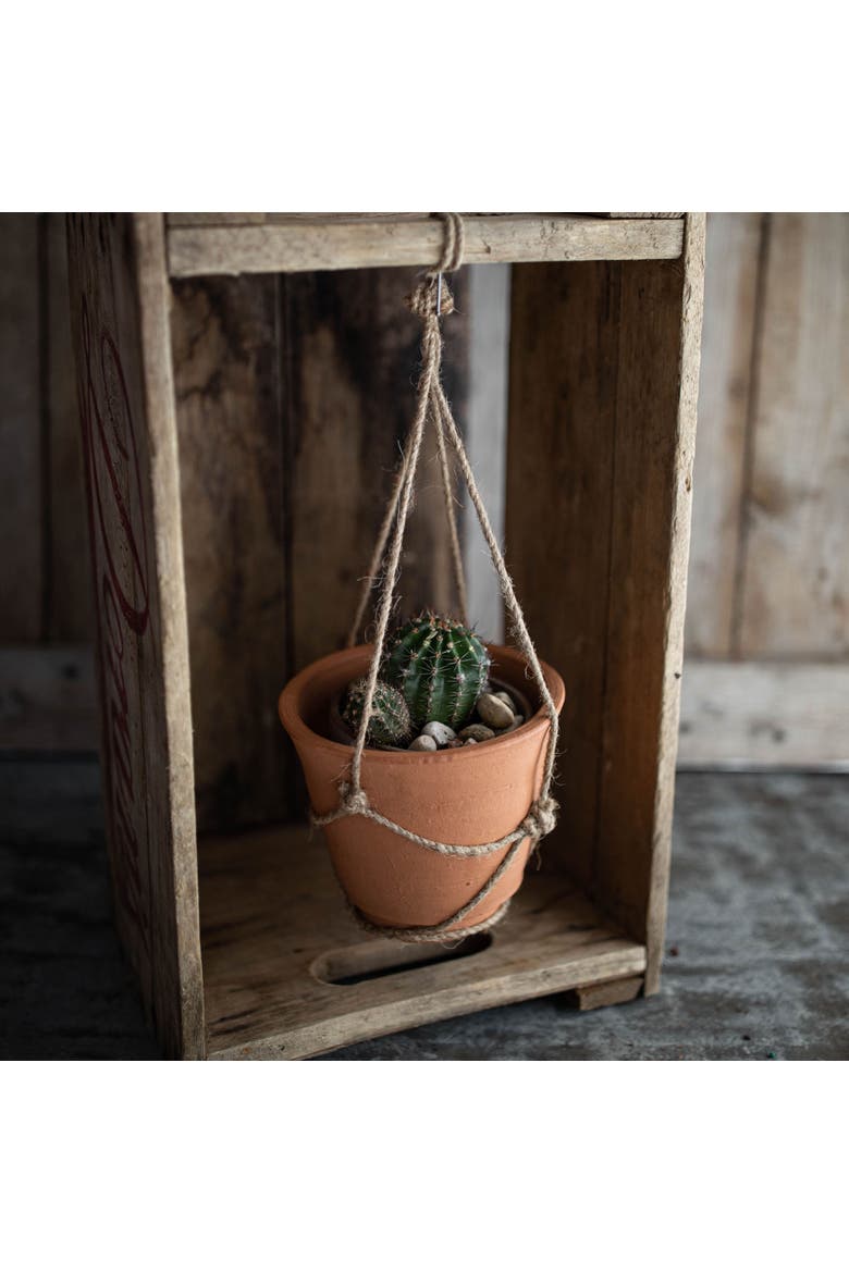 Hanging Terracotta Terracotta & Jute Planter, Alternate, color, Orange