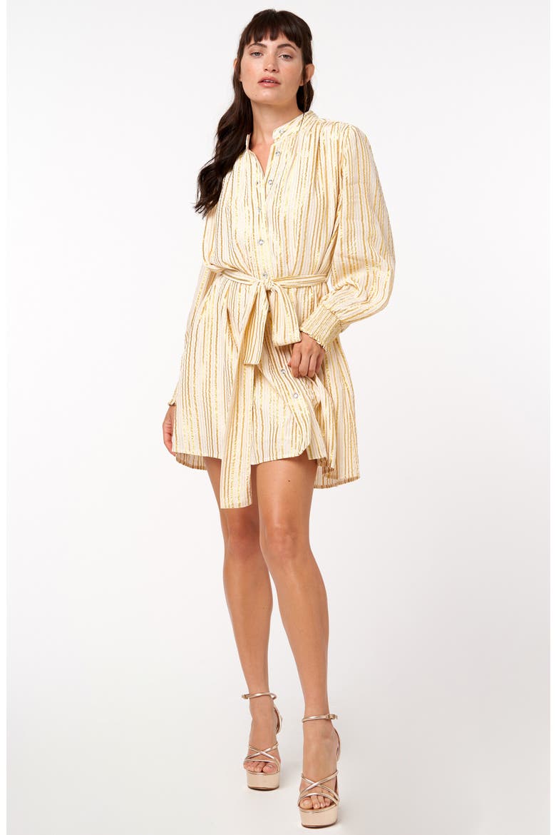 Sondra Print Tie Waist Long Sleeve Minidress, Alternate, color, CREAM