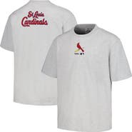PLEASURES Men's PLEASURES  Gray St. Louis Cardinals Mascot T-Shirt