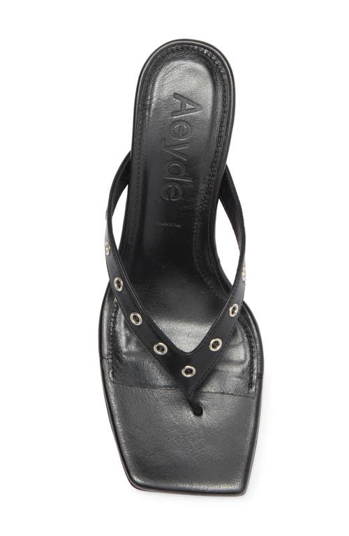 Aeyde Riva Grommet Sandal In Black