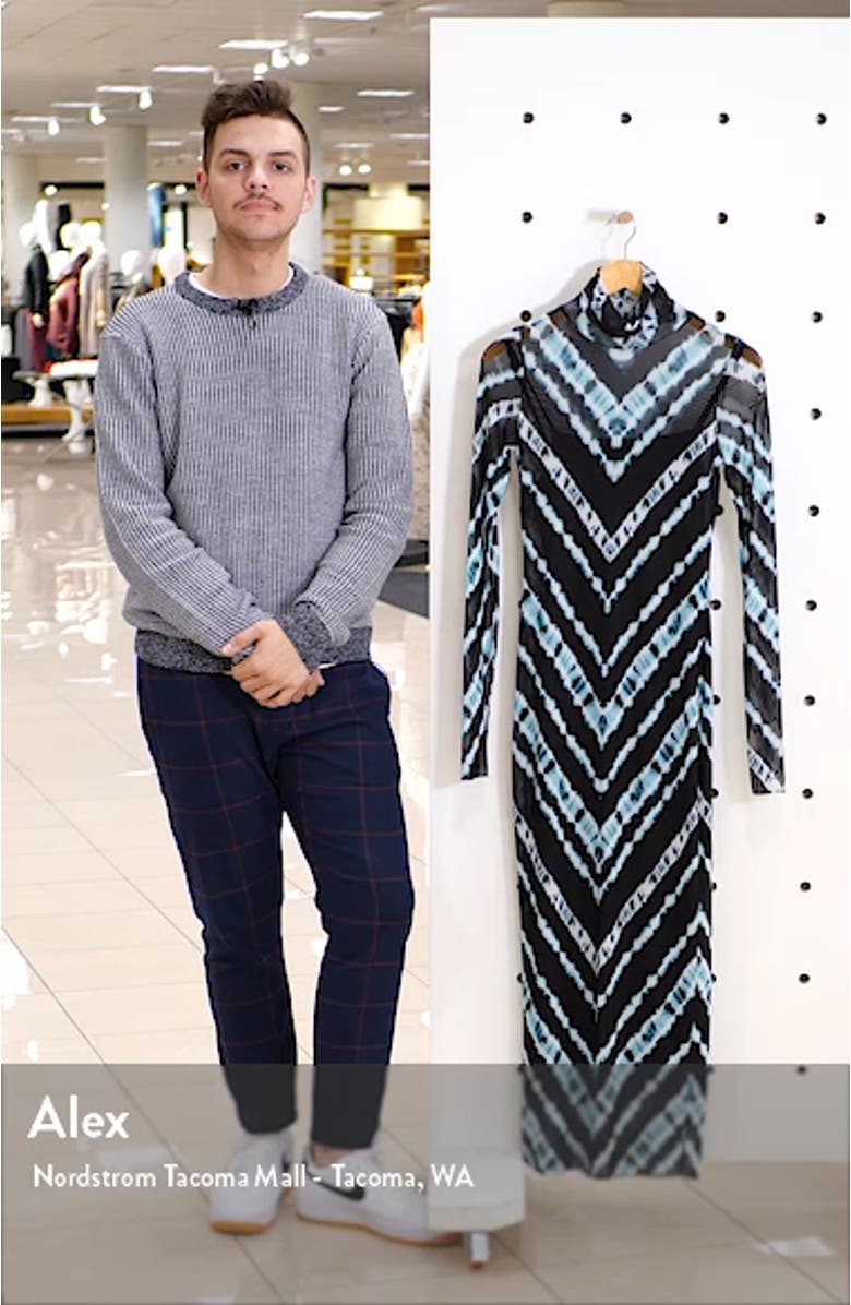 Shailene Long Sleeve Print Mesh Dress, sales video thumbnail