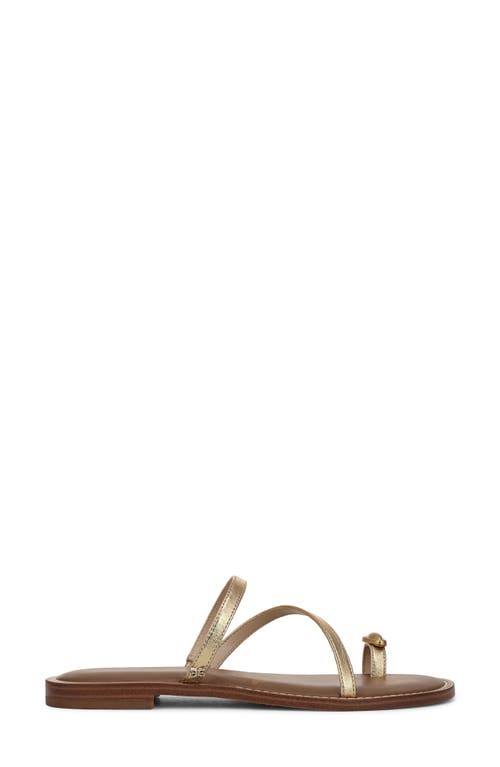Sam Edelman Harlyn Slide Sandal In Amber Gold