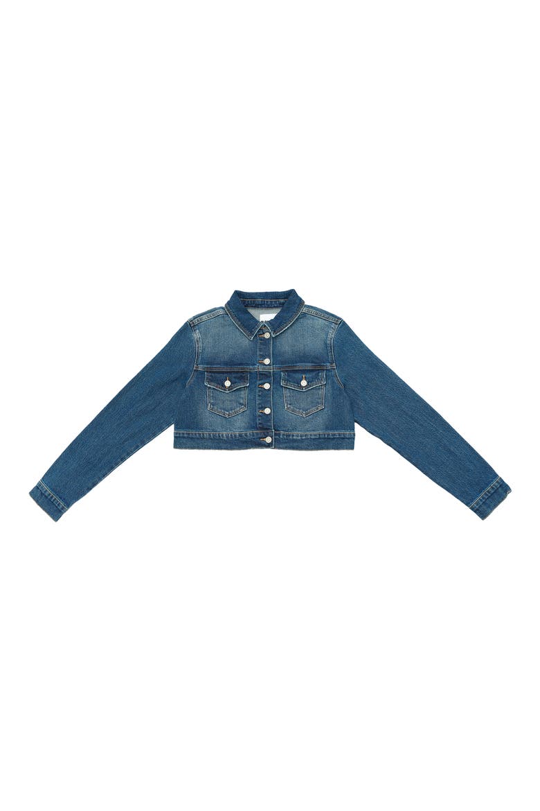 Crop Denim Jacket, Alternate, color, BLUE ALICE