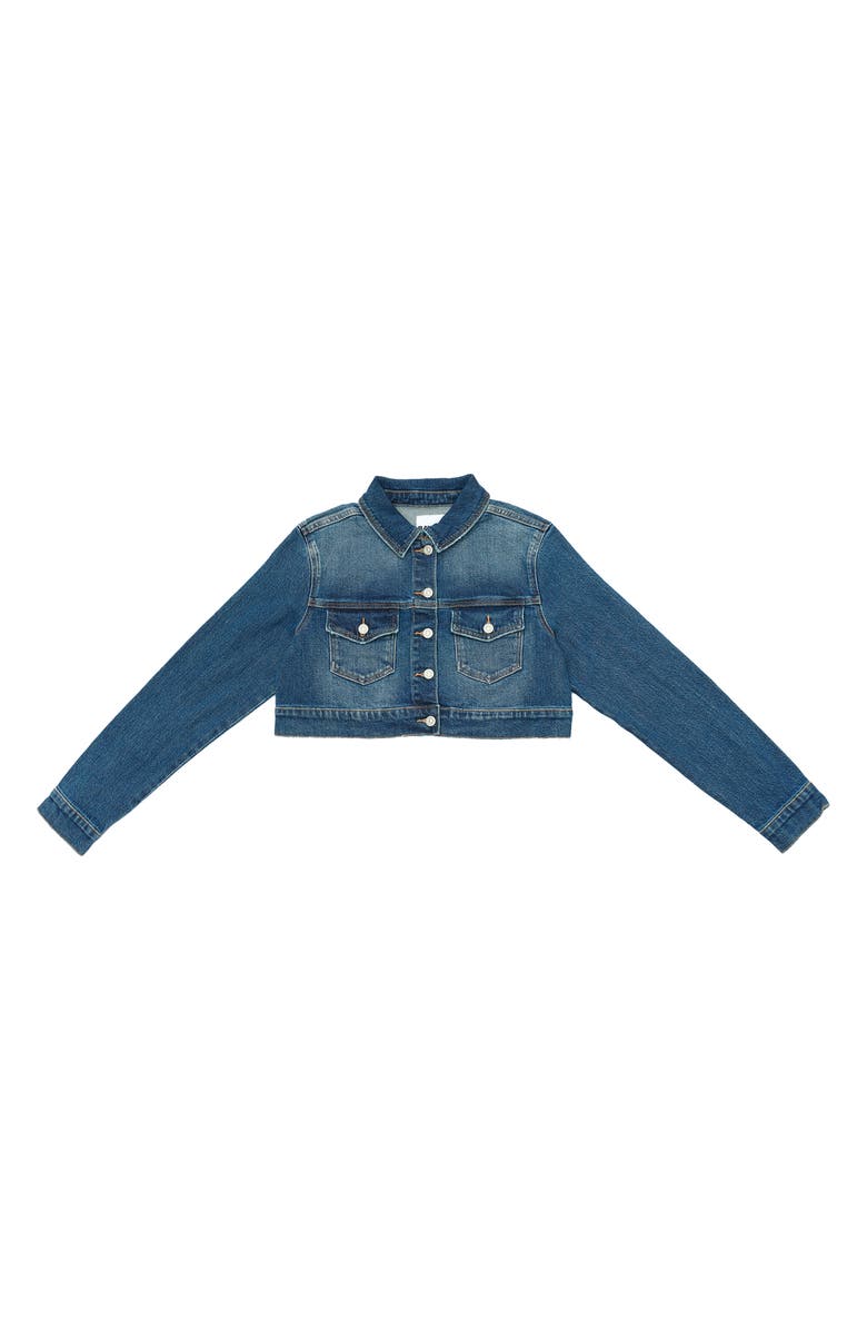 Bayeas Crop Denim Jacket, Alternate, color, Blue Alice