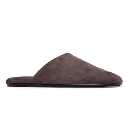 Black Suede Studio Shiloh Mule In Brown