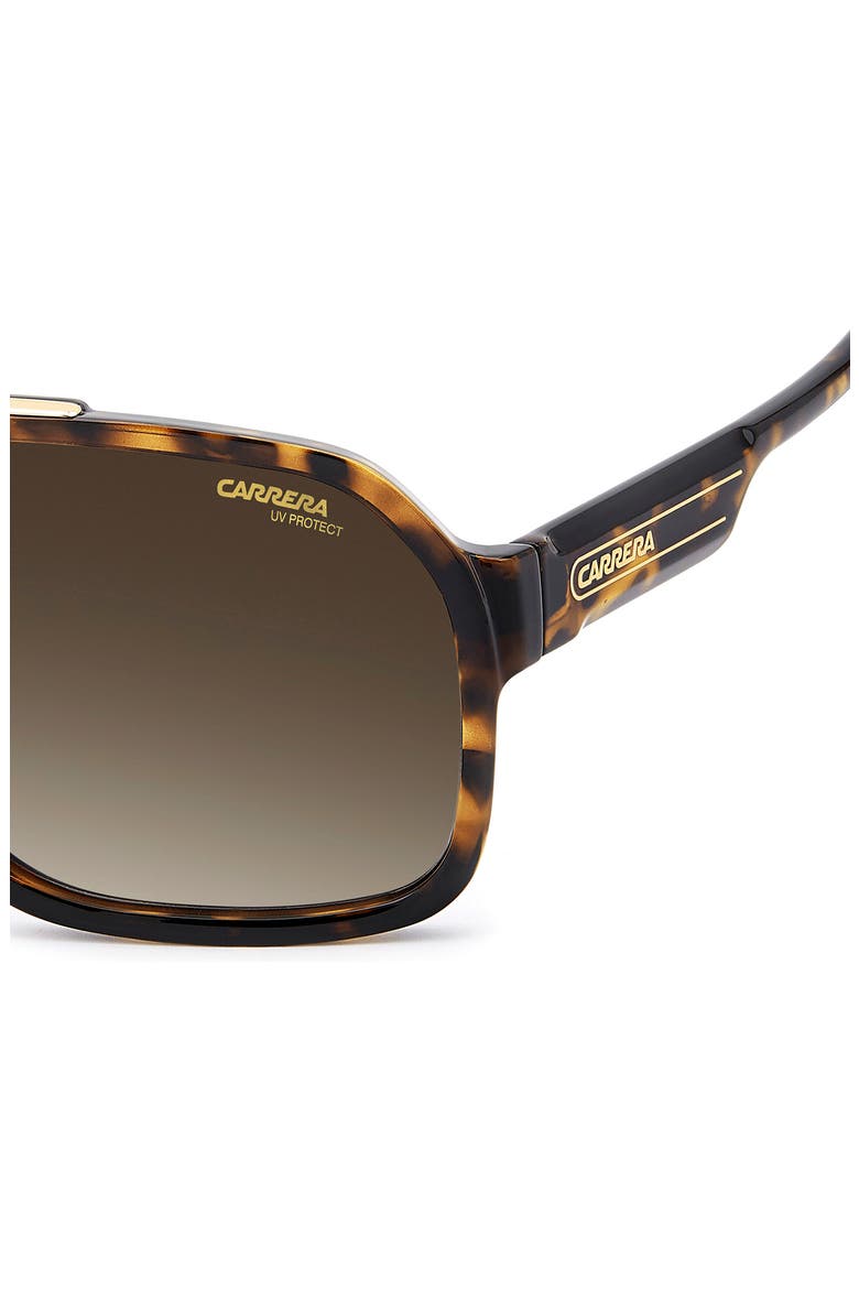 64mm Oversize Gradient Navigator Sunglasses, Alternate, color, HAVANA/ BROWN