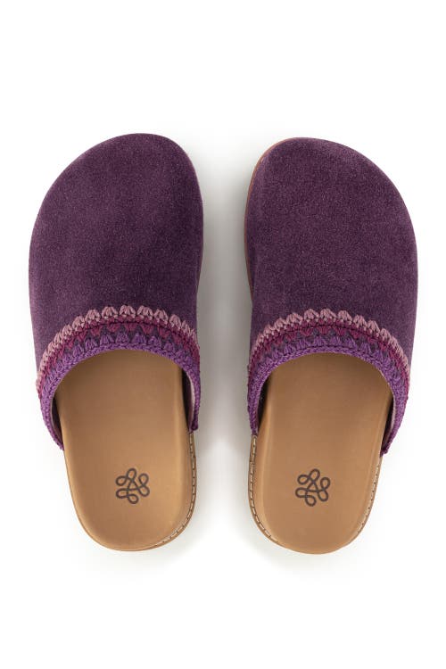 The Sak Bolinas Lug Sole Clog In Purple