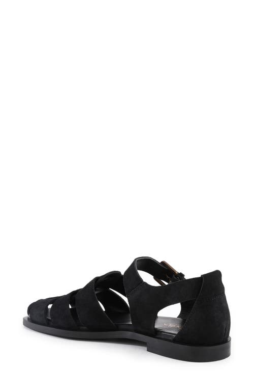 Seychelles The Blues Fisherman Sandal In Black