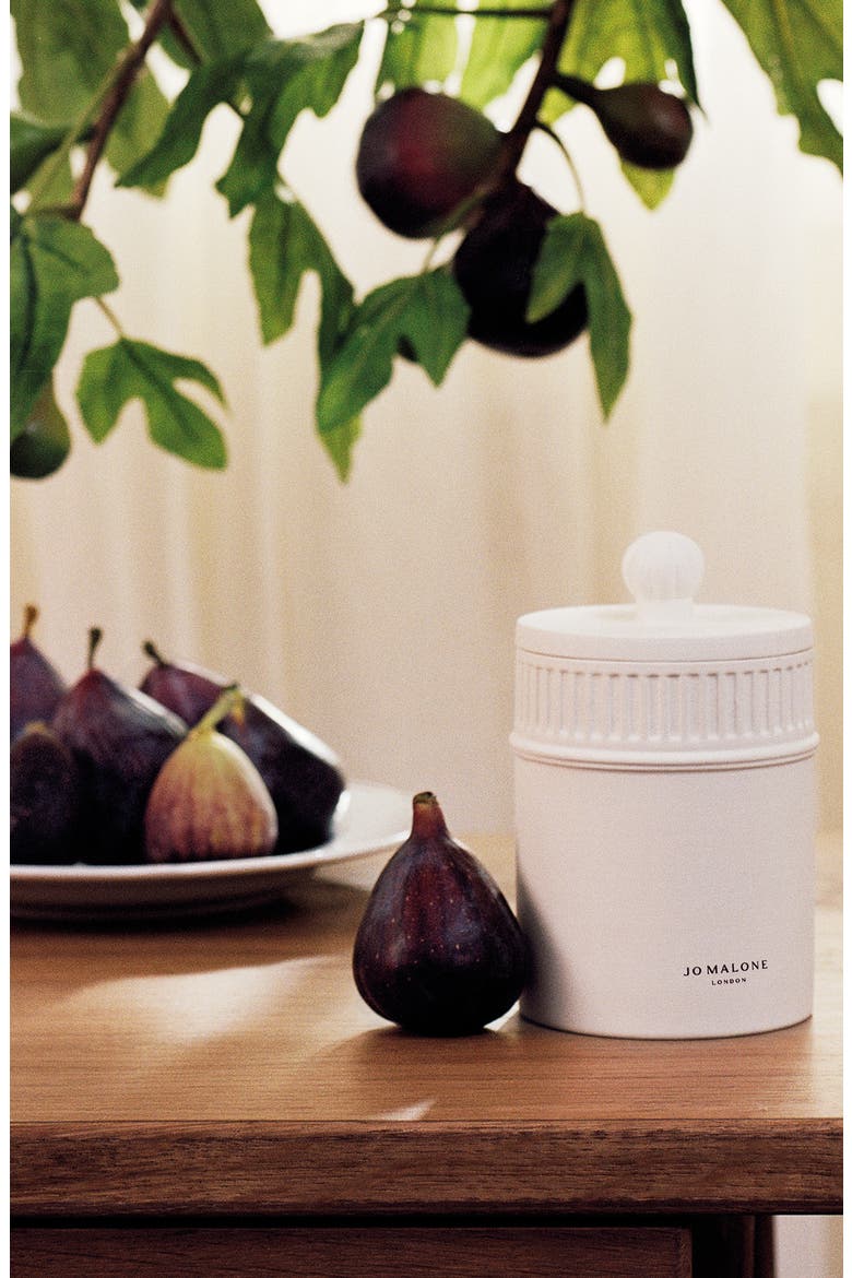 Fresh Fig & Cassis Scented Candle, Alternate, color, NO COLOR