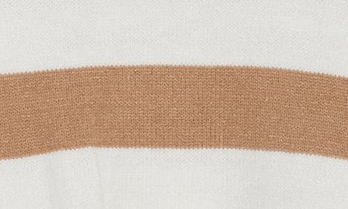 Ellen Tracy Stripe Crewneck Sweater In Brown