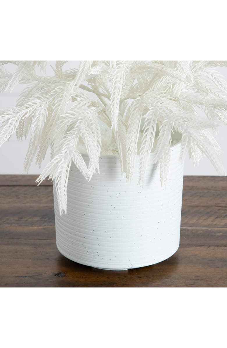 NEARLY NATURAL 2-ft Artificial Real Touch White Norfolk Island Pine Christmas Tree with Natural Look, Alternate, color, White