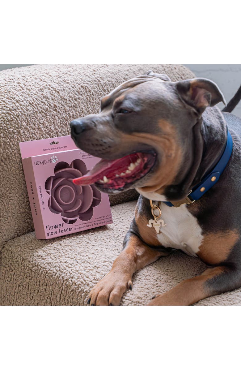 Dexypaws Flower Slow Feeder, Alternate, color, 