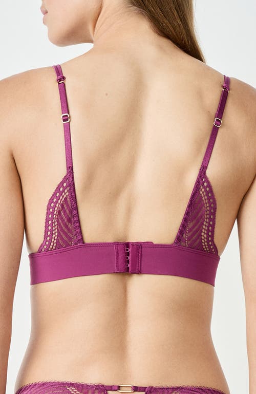 Etam Audace Lace Triangle Bra In Purple