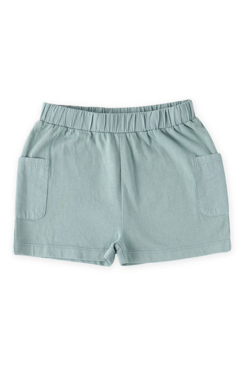 Garment Dye Shorts, Main, color, DEEP SEA
