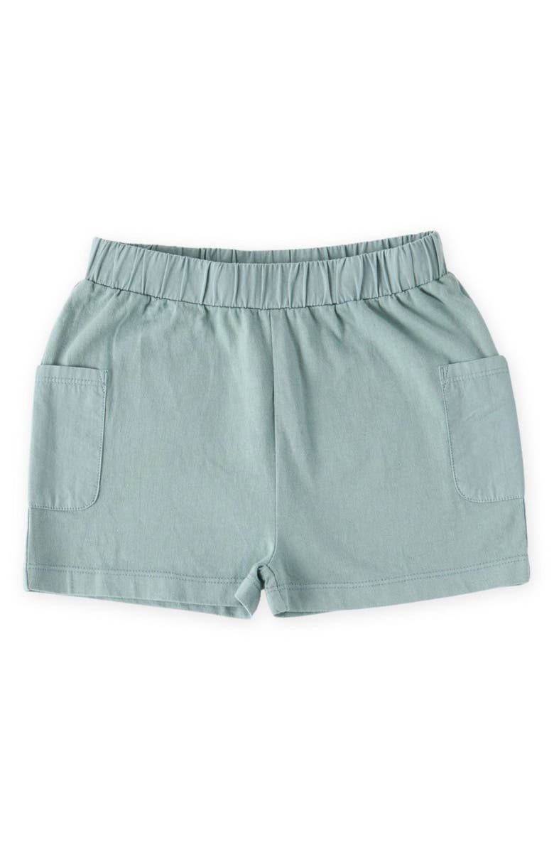 Pehr Garment Dye Shorts, Main, color, Deep Sea