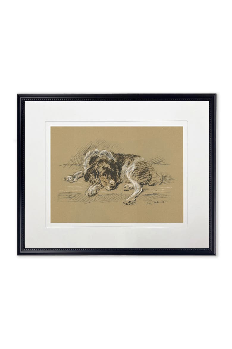 Sketched Dog Print in Black Frame, Main, color, Multi
