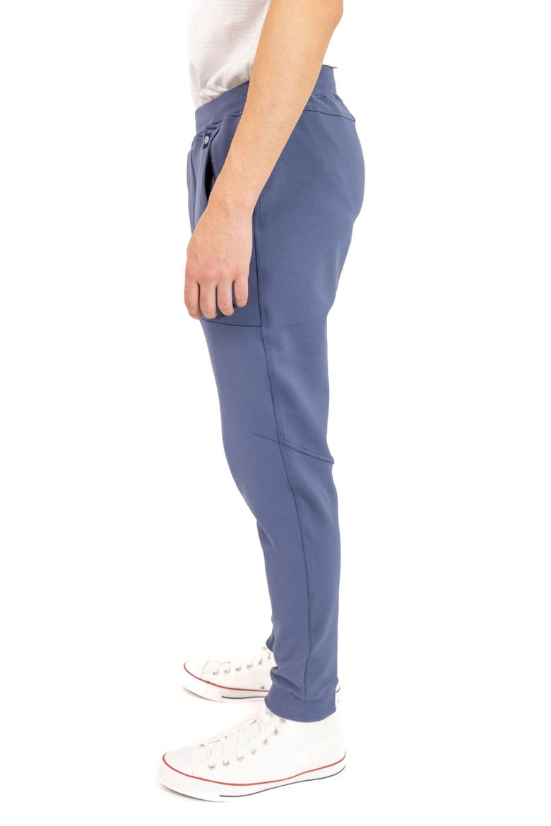 Cotton Blend Joggers, Alternate, color, BLUE