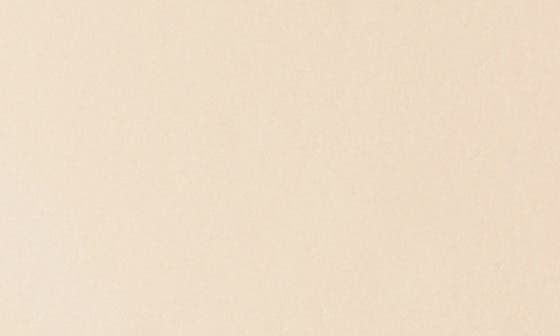 PORCELAIN