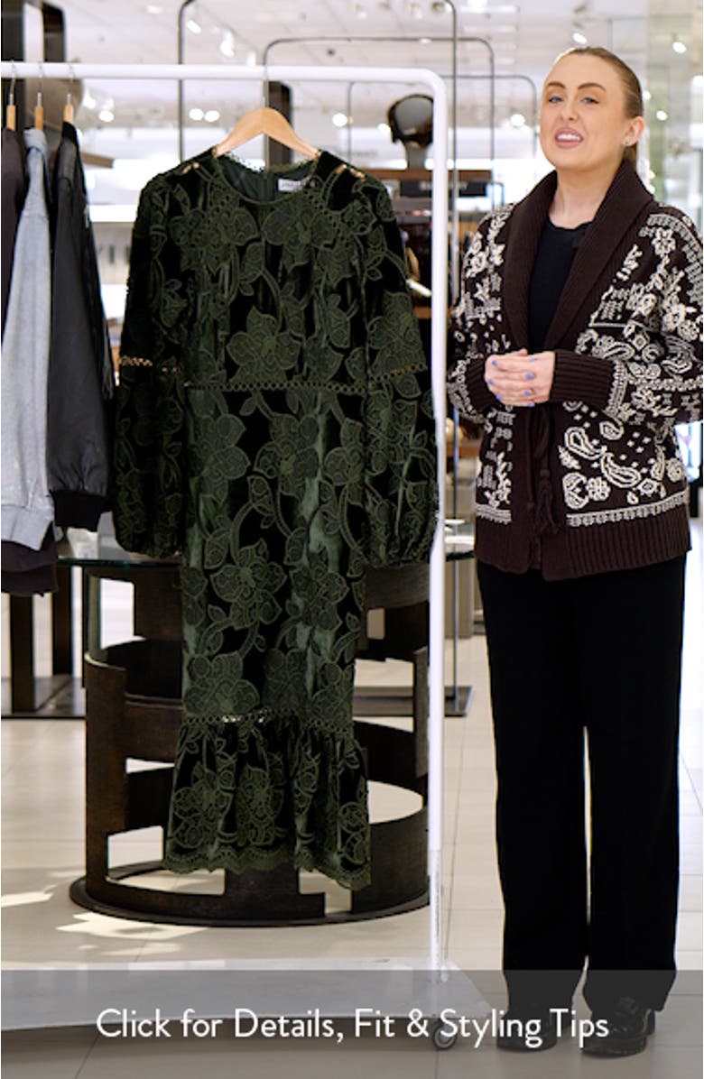 Pierre Long Sleeve Velvet & Lace Midi Dress, sales video thumbnail