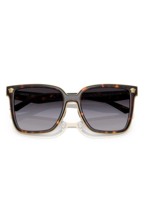 Versace 58mm Butterfly Sunglasses In Havana