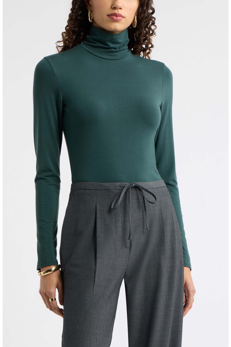 Turtleneck Knit Top, Main, color, GREEN GABLES