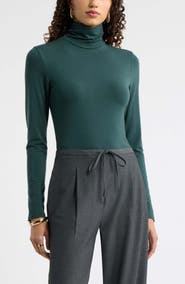 Nordstrom Turtleneck Knit Top