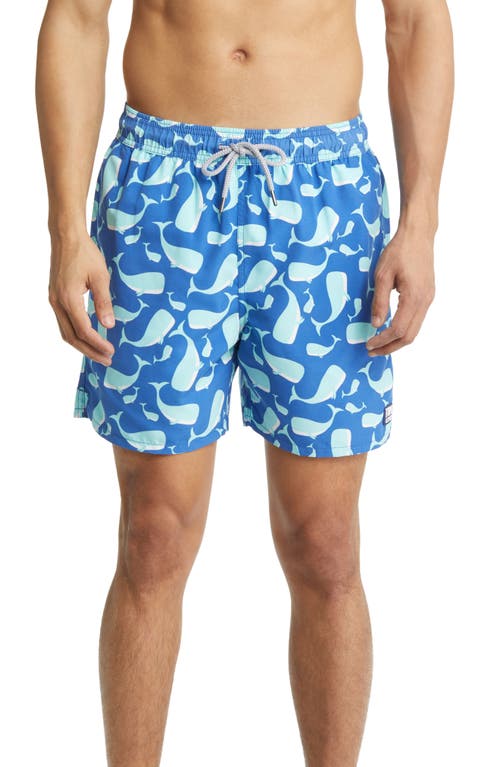 Tom & Teddy Whale Print Swim Trunks in Navy & Aqua 