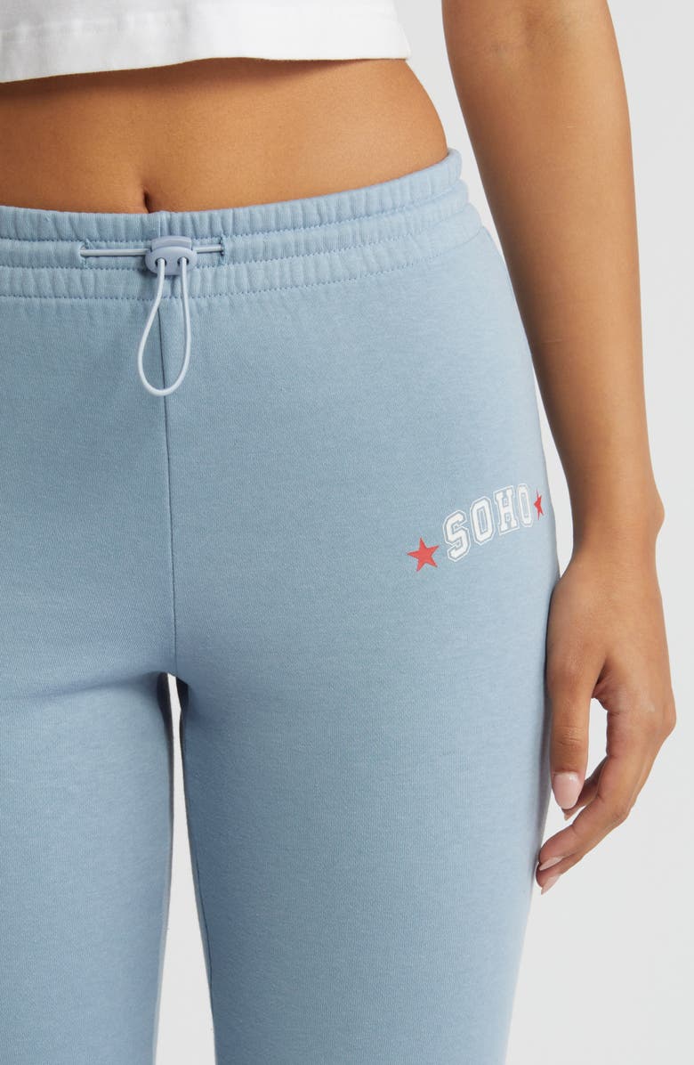 PacSun Soho Flare Leg Sweatpants, Alternate, color, 