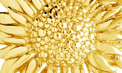 Sterling Forever Gold-tone Or Silver-tone Triple Sunflower Solaris Drop Studs