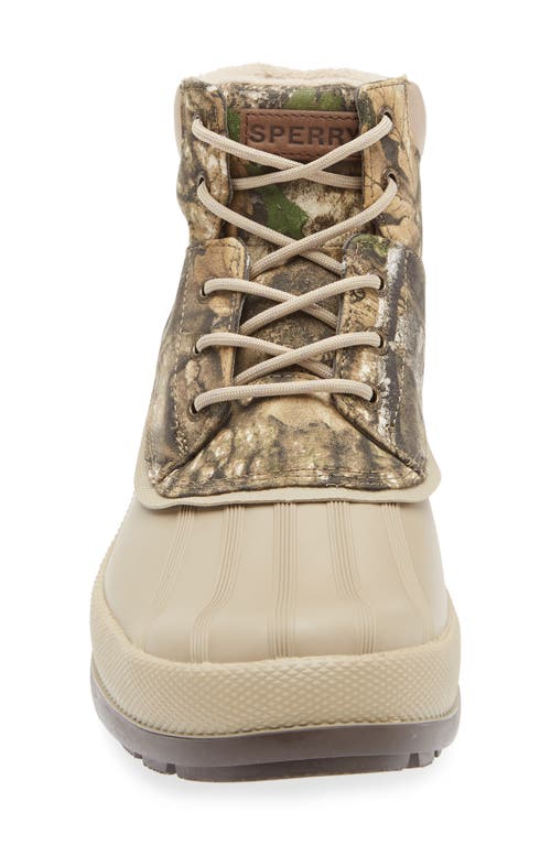 Sperry Top-sider® Coldbay Chukka Boot In Green