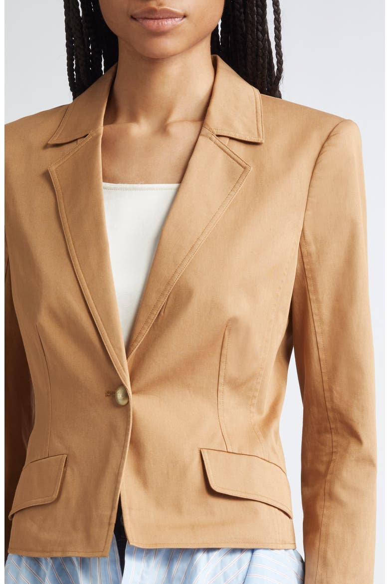 Shilo Stretch Cotton Jacket, Alternate, color, BROWN SANDSTONE/ BLUEBELL