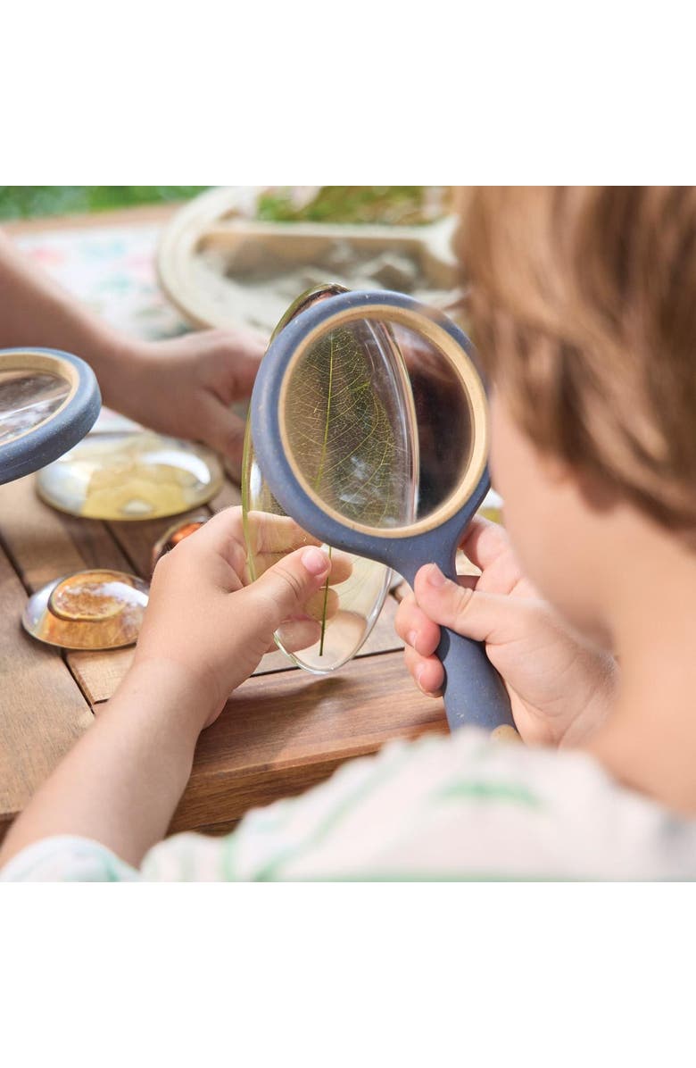 Kaplan Early Learning Company Acrylic Nature's Cross Sections, Alternate, color, Multicolored