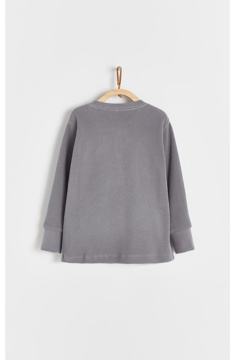 Babycottons Sweatshirt Waffle for Infant, Alternate, color, Grey