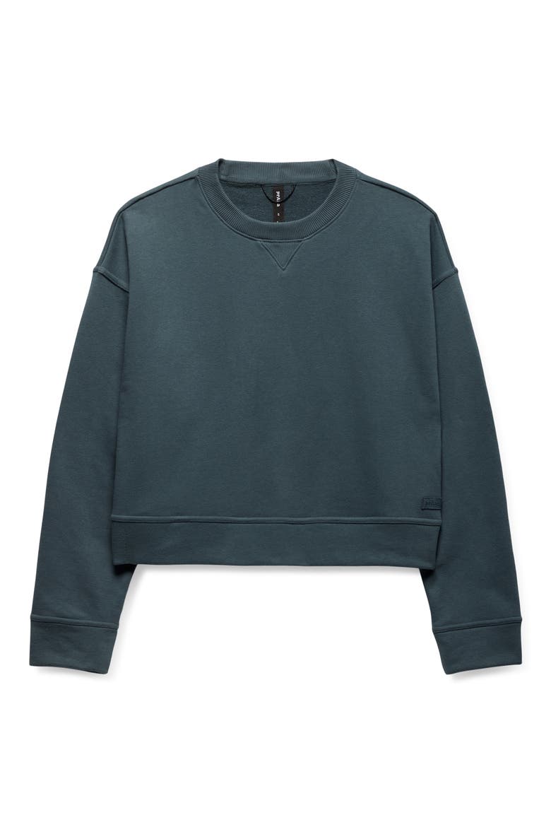 Dreamterry Crewneck Sweatshirt, Alternate, color, GREY BLUE