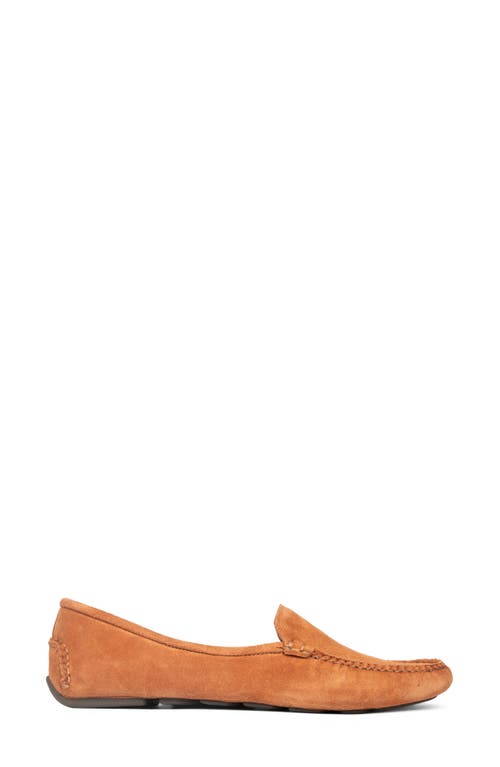 Patricia Green 'jillian' Loafer In Brown